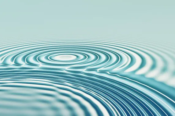 Casino All In Support